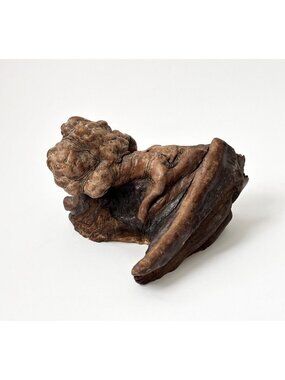 Natural Wood Burl | Root Wabi Sabi Solid Wood Vintage Decorative Abstract Piece